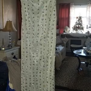 Beautiful Long Silver gown